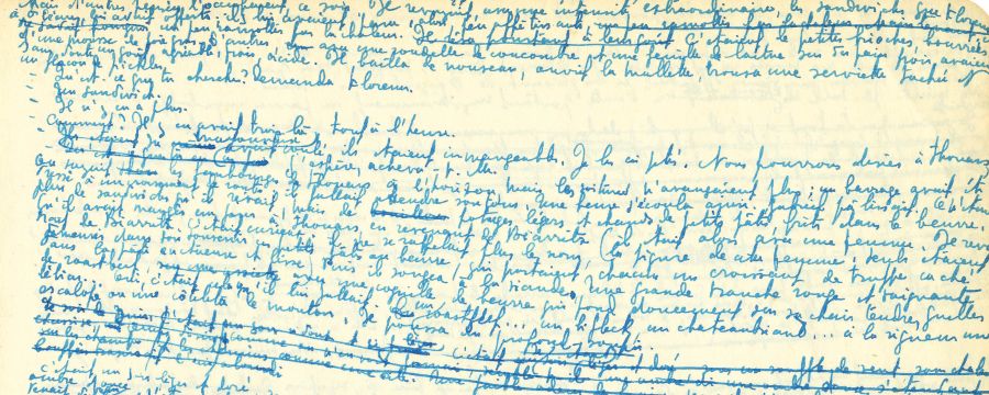 Holocaust Diaries