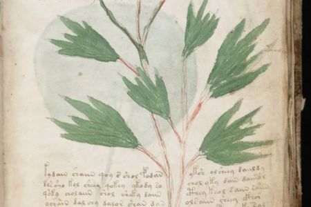 Speed writing/fast publishing 2026