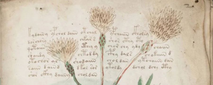 Speed writing/fast publishing 2026