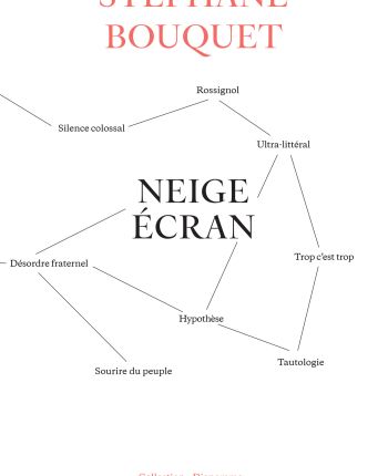 Neige écran