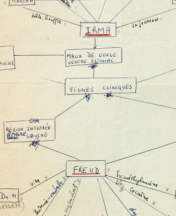 Quand Freud rêve de son épouse enceinte