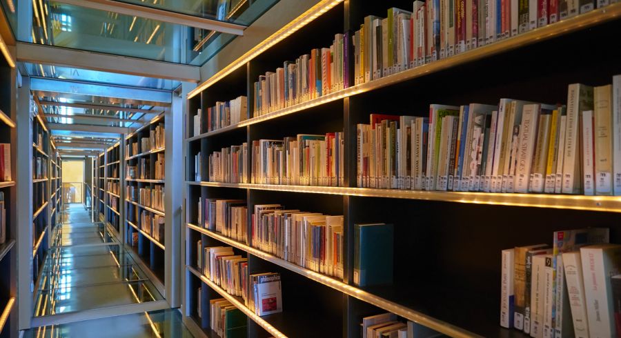 Les marximes dans la Collection de l’Imec
